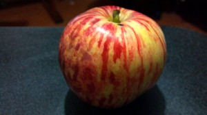 Cloverside Farms Rome Beauty Apple